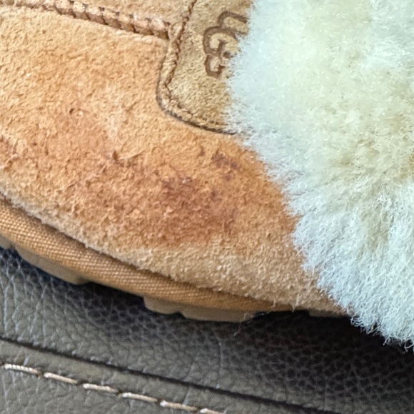 Cozy UGG Tan Shearling Women's Slippers - Picture 5 of 5